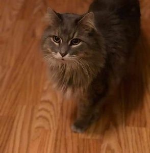 Meet your Posher, Audrey